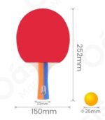 KIT RAQUETE DE PING PONG - Imagem 2