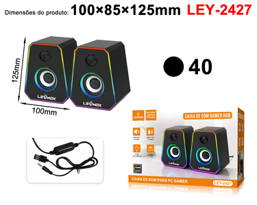 Caixa de Som Computador